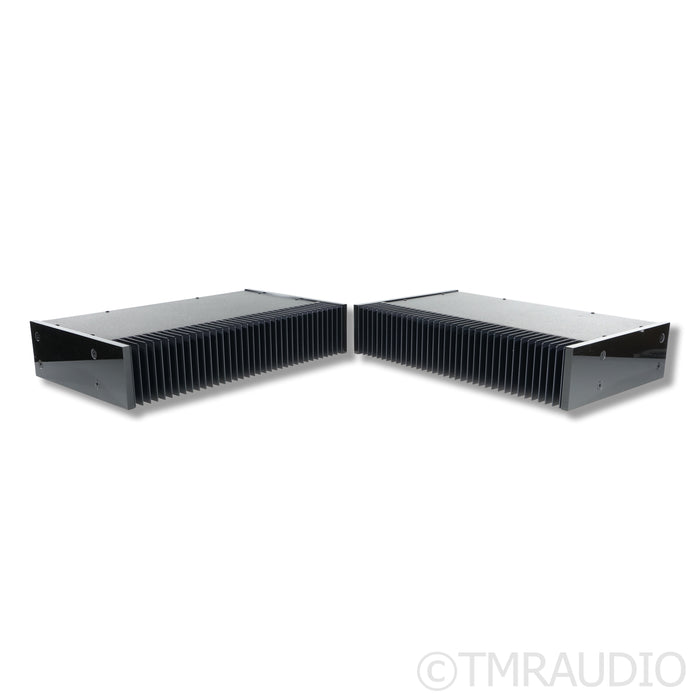 PSE Studio V Monoblock Power Amplifiers