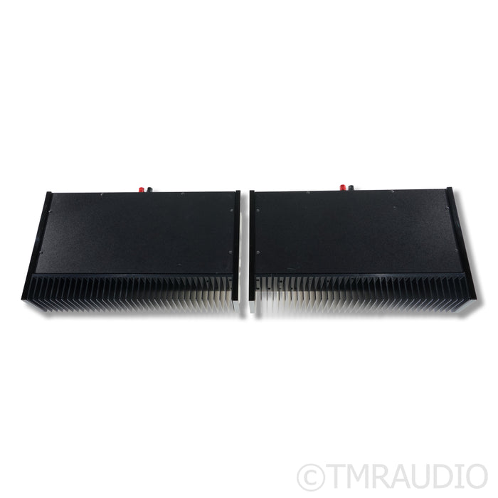 PSE Studio V Monoblock Power Amplifiers