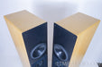 Dunlavy SCIV Speakers