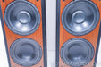 Legacy Audio Focus 20/20 Speakers