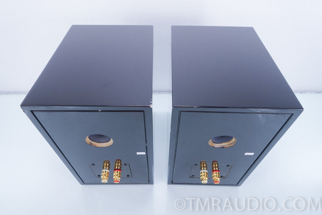 Meret Audio RE Speakers