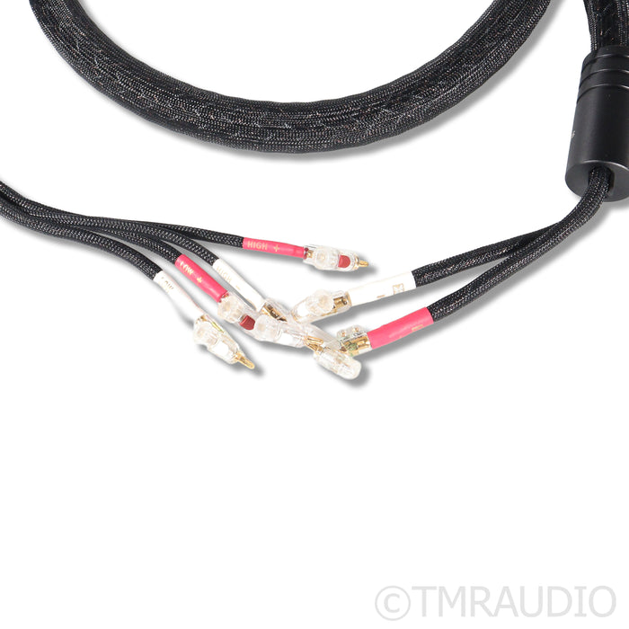 Kimber Kable Bifocal XL Speaker Cables; 2.5m