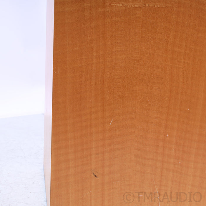 Meadowlark Audio Blue Heron  Floorstanding Speakers