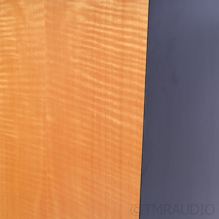 Meadowlark Audio Blue Heron  Floorstanding Speakers