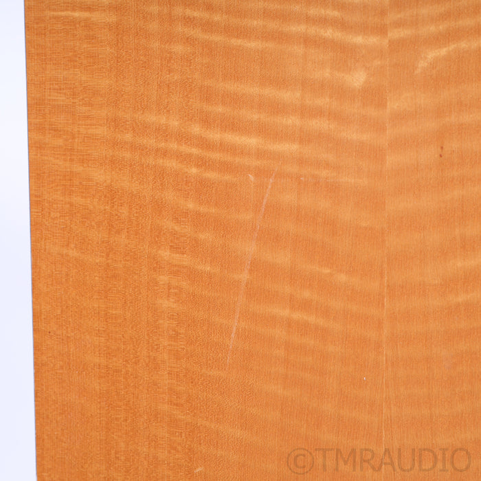Meadowlark Audio Blue Heron  Floorstanding Speakers