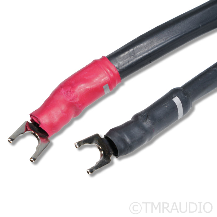 Synergistic Research Element CTS Speaker Cable; 8ft