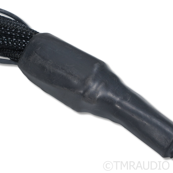 Synergistic Research Element CTS Speaker Cable; 8ft