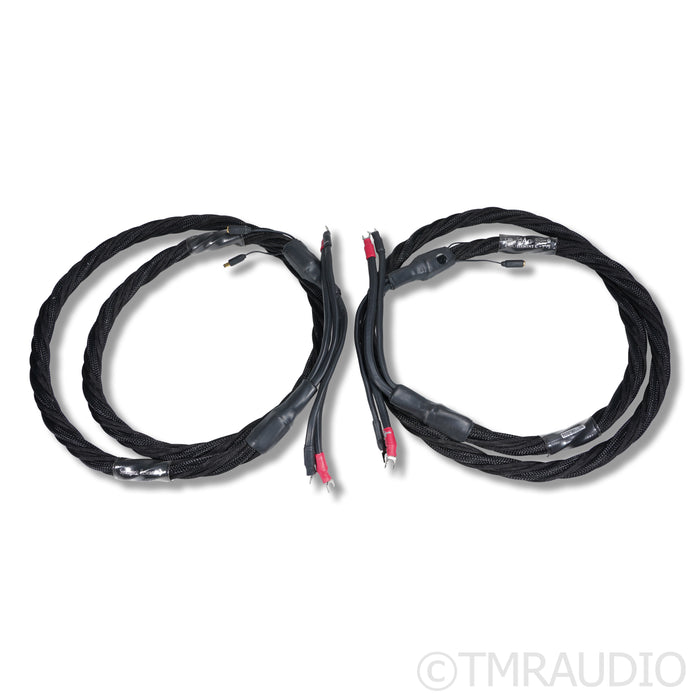 Synergistic Research Element CTS Speaker Cable; 8ft
