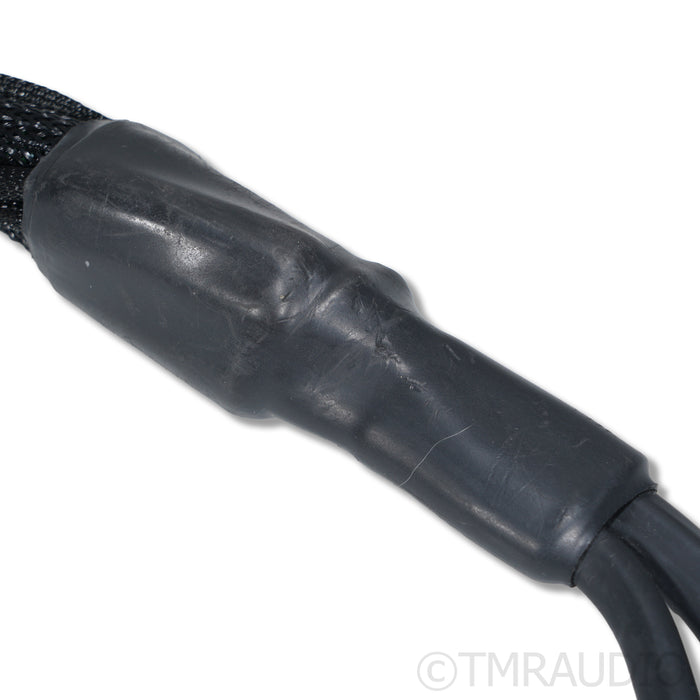 Synergistic Research Element CTS Speaker Cable; 8ft