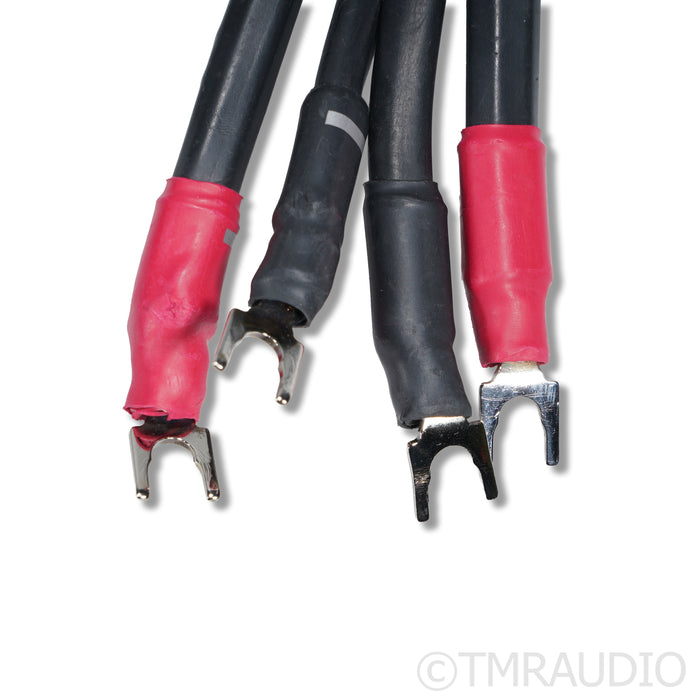 Synergistic Research Element CTS Speaker Cable; 8ft