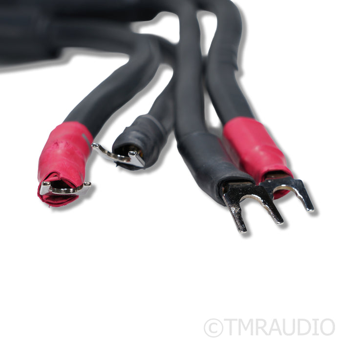 Synergistic Research Element CTS Speaker Cable; 8ft