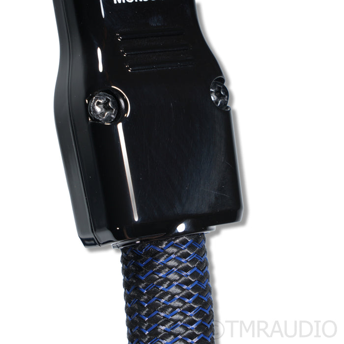 AudioQuest Monsoon XTRM Power Cable; 2.5m