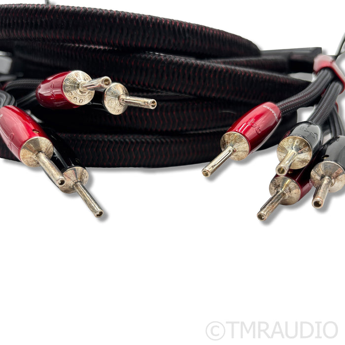 AudioQuest Comet Speaker Cables; 10ft