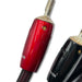 AudioQuest Comet Speaker Cables; 10ft