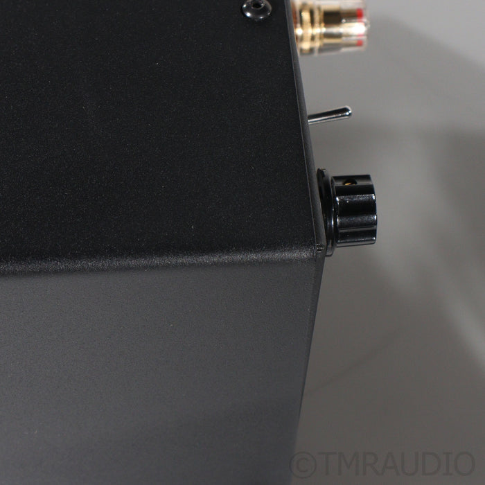 ModWright KWA 99 Monoblock Power Amplifiers