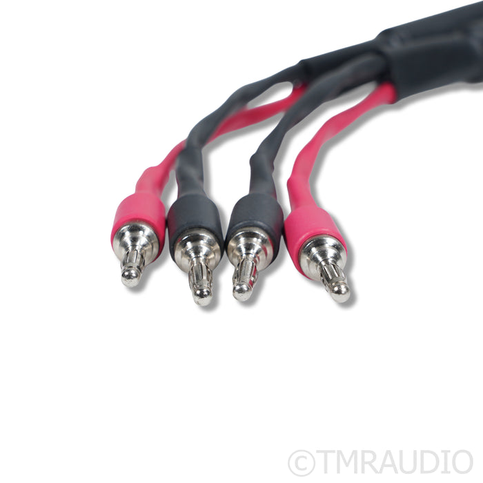 Cardas Parsec Speaker Cables; 2.5m (Open Box)