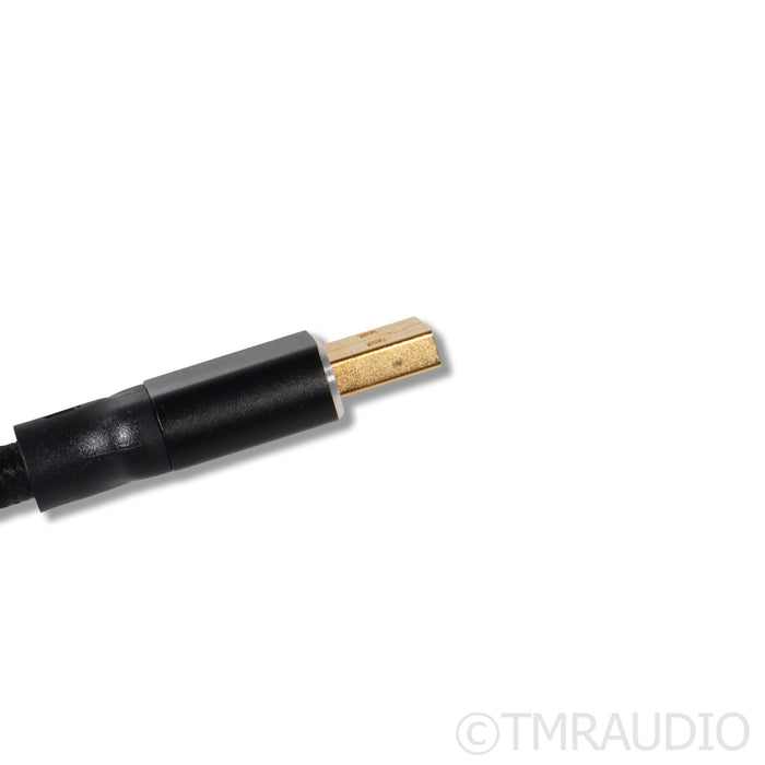Shunyata Research Theta USB Cable; 1.5m