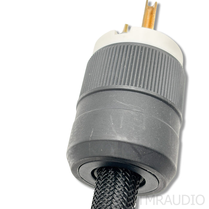 Audience Forte f5 powerChord Power Cable; 1.75m