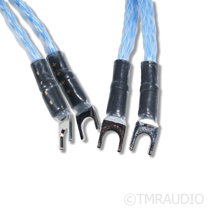 Belden Iconoclast SPTPC Series-1 Silver Plated Speaker Cables; 6ft