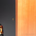 Harbeth M30 Bookshelf Speakers