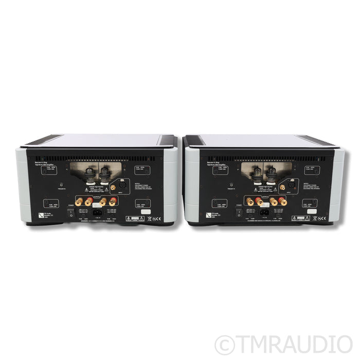 PS Audio BHK Signature 300 Hybrid Monoblock Power Amplifiers