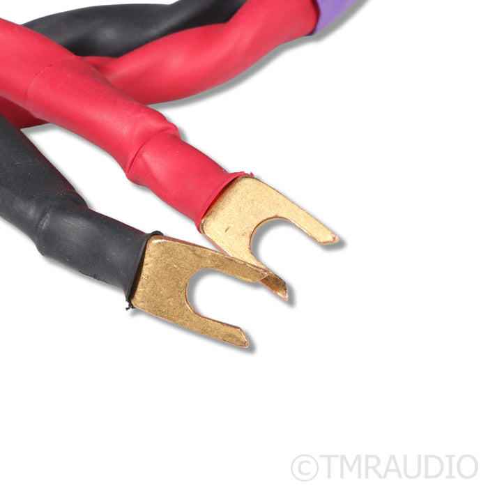 Acoustic Zen Hologram II Speaker Cables; 6ft