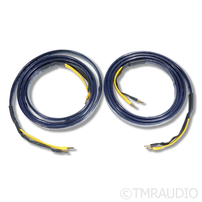 Analysis Plus Oval 9 Speaker Cables; 2.5m