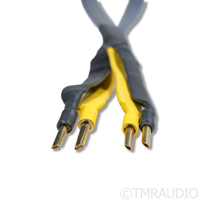 Analysis Plus Oval 9 Speaker Cables; 2.5m