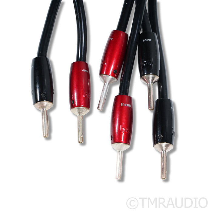 AudioQuest Rocket 44 Bi-Wire Speaker Cables; 10ft