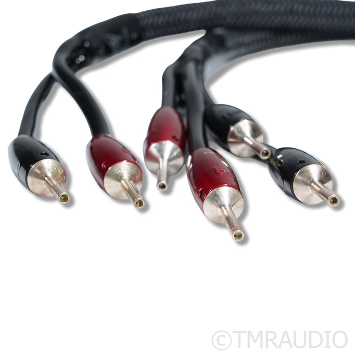 AudioQuest Rocket 44 Bi-Wire Speaker Cables; 10ft