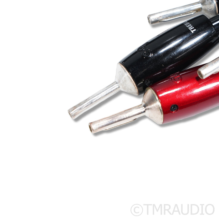 AudioQuest Rocket 44 Bi-Wire Speaker Cables; 10ft