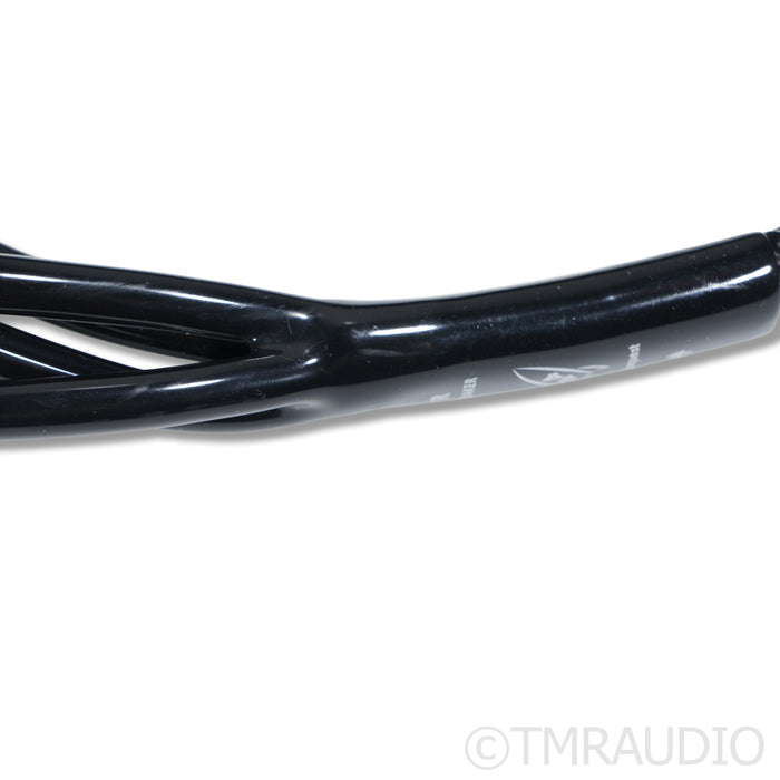 AudioQuest Rocket 44 Bi-Wire Speaker Cables; 10ft