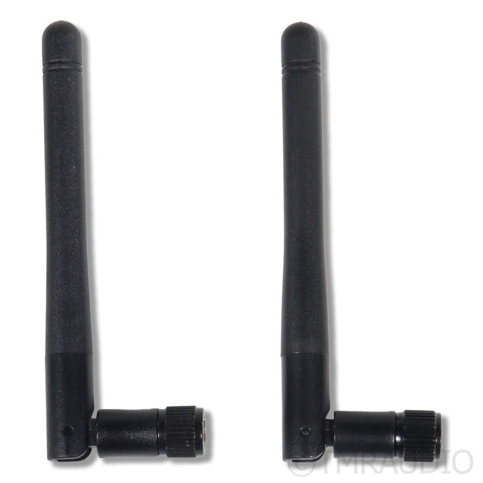 Auralic Aries G1 Streaming Transport