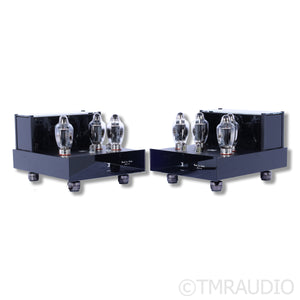 Black Ice Audio Fusion F100 Tube Monoblock Power Amplifiers; Gaia III Footers