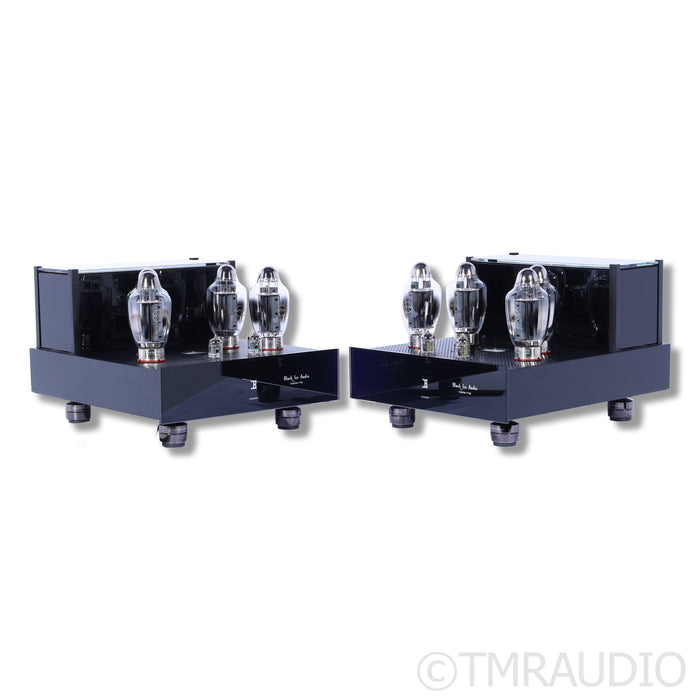 Black Ice Audio Fusion F100 Tube Monoblock Power Amplifiers; Gaia III Footers