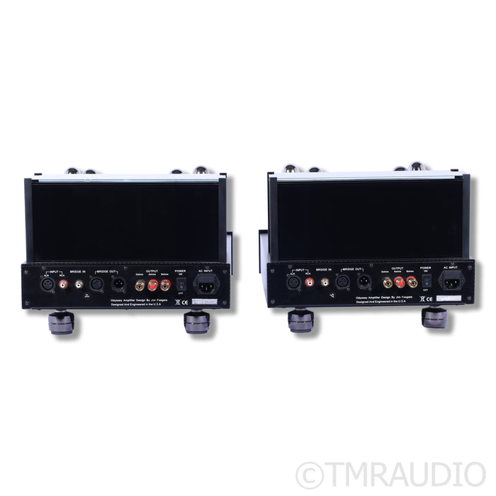 Black Ice Audio Fusion F100 Tube Monoblock Power Amplifiers; Gaia III Footers