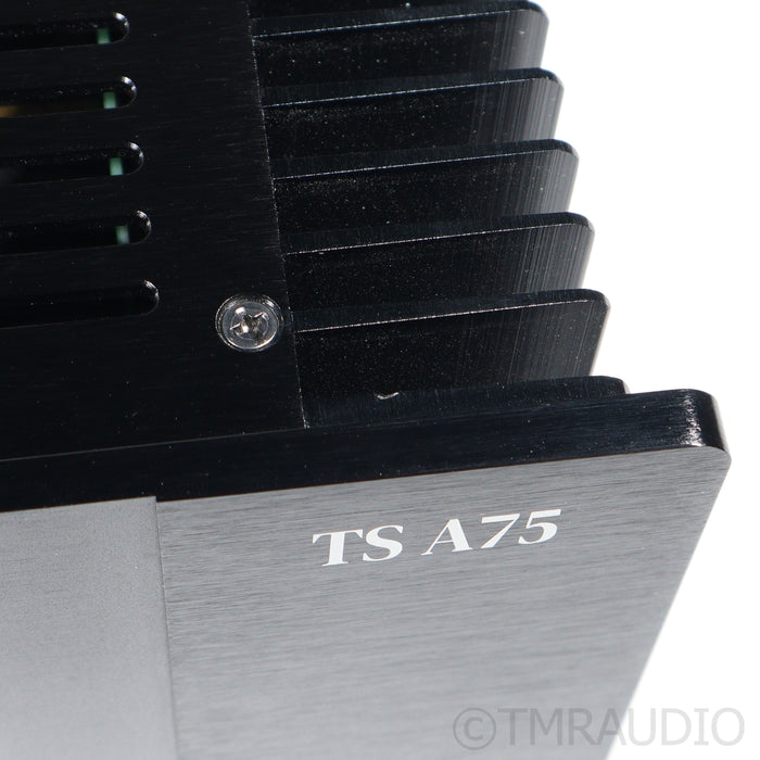 Galion Audio TS A75 Power Amplifier
