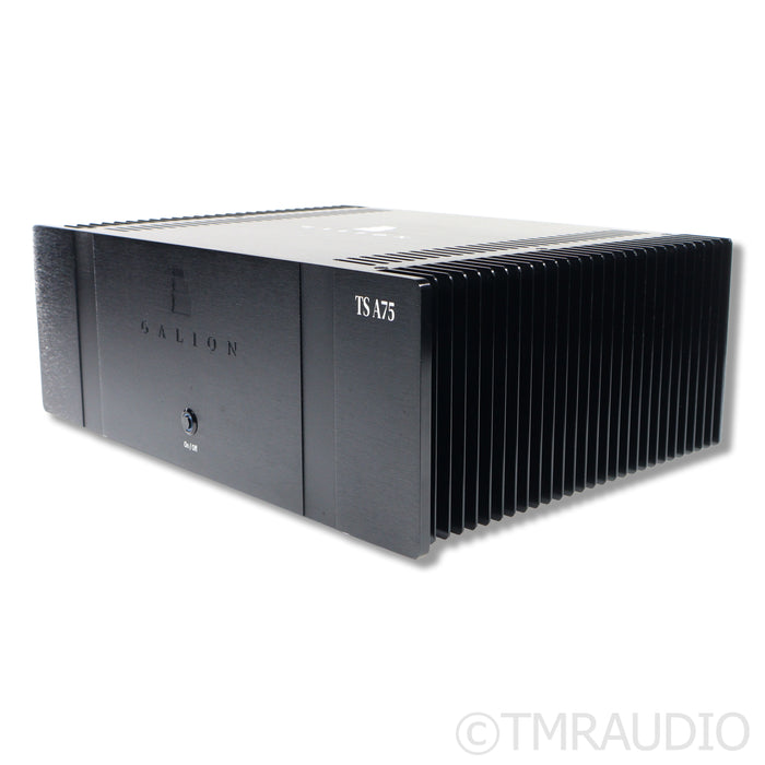 Galion Audio TS A75 Power Amplifier