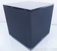 Definitive Technology SuperCube Reference Subwoofer