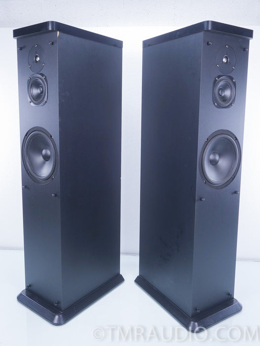 Eosone RSF-400 Floorstanding Speakers