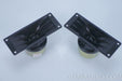 Klipsch K77 Tweeter / Horns Pair