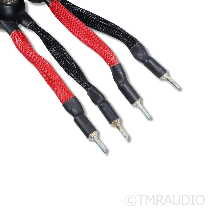 WireWorld Eclipse 8 Speaker Cables; 2m