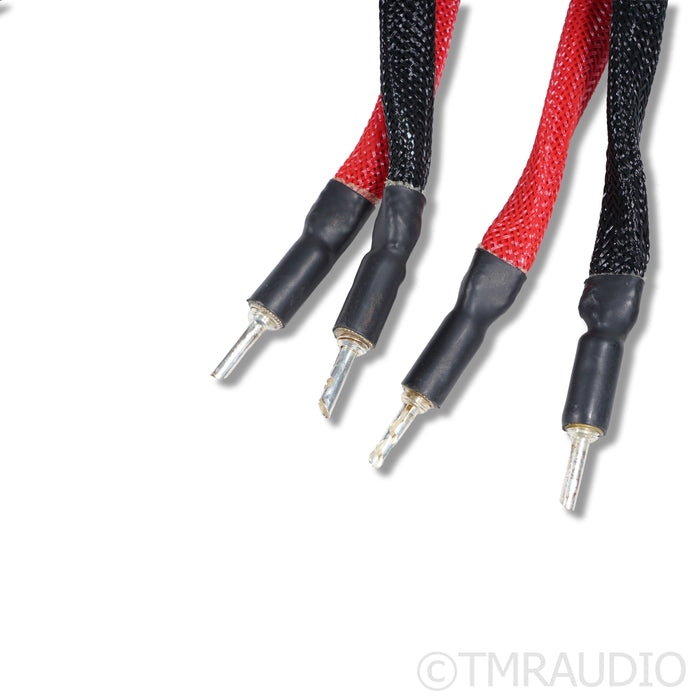 WireWorld Eclipse 8 Speaker Cables; 2m