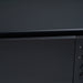 Axxess Forte 1 Streaming Integrated Amplifier; DAC
