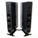 PS Audio Aspen FR30 Floorstanding Speakers