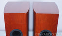 Dali Helicon 300 Speakers