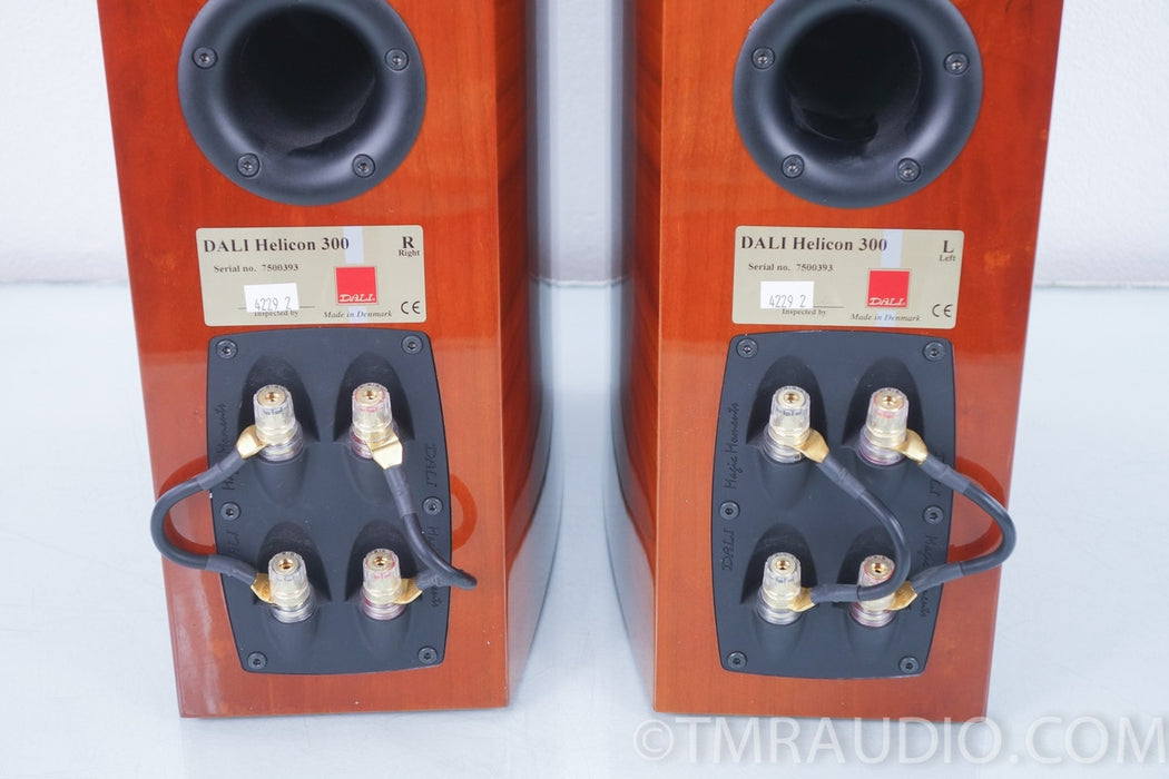 Dali Helicon 300 Speakers