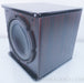 AV123 Onix Rocket UFW-10 Powered Subwoofer