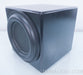 Sunfire True Subwoofer