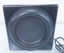 Sunfire True Subwoofer